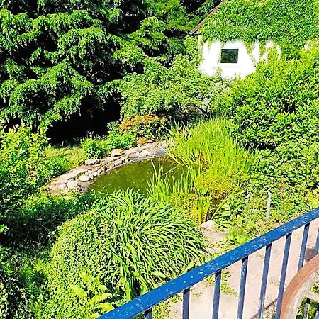 Hotel-restaurant Berghof Hotel